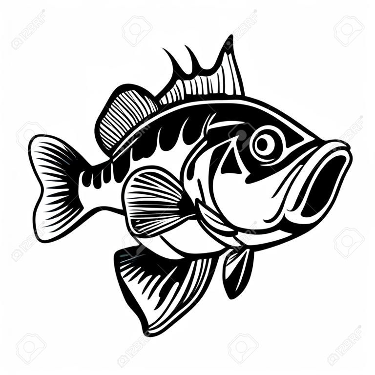 Illustration von Bass-Fischen. Großer Barsch. Barsch angeln. Gestaltungselement für Logo, Emblem, Schild, Poster, Karte, Banner. Vektor-Illustration