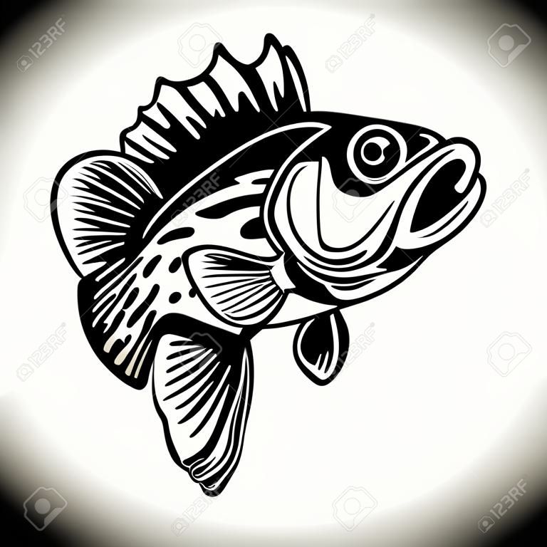 Illustrazione del pesce persico. Grande trespolo. Pesca al pesce persico. Elemento di design per logo, emblema, segno, poster, carta, banner. Illustrazione vettoriale