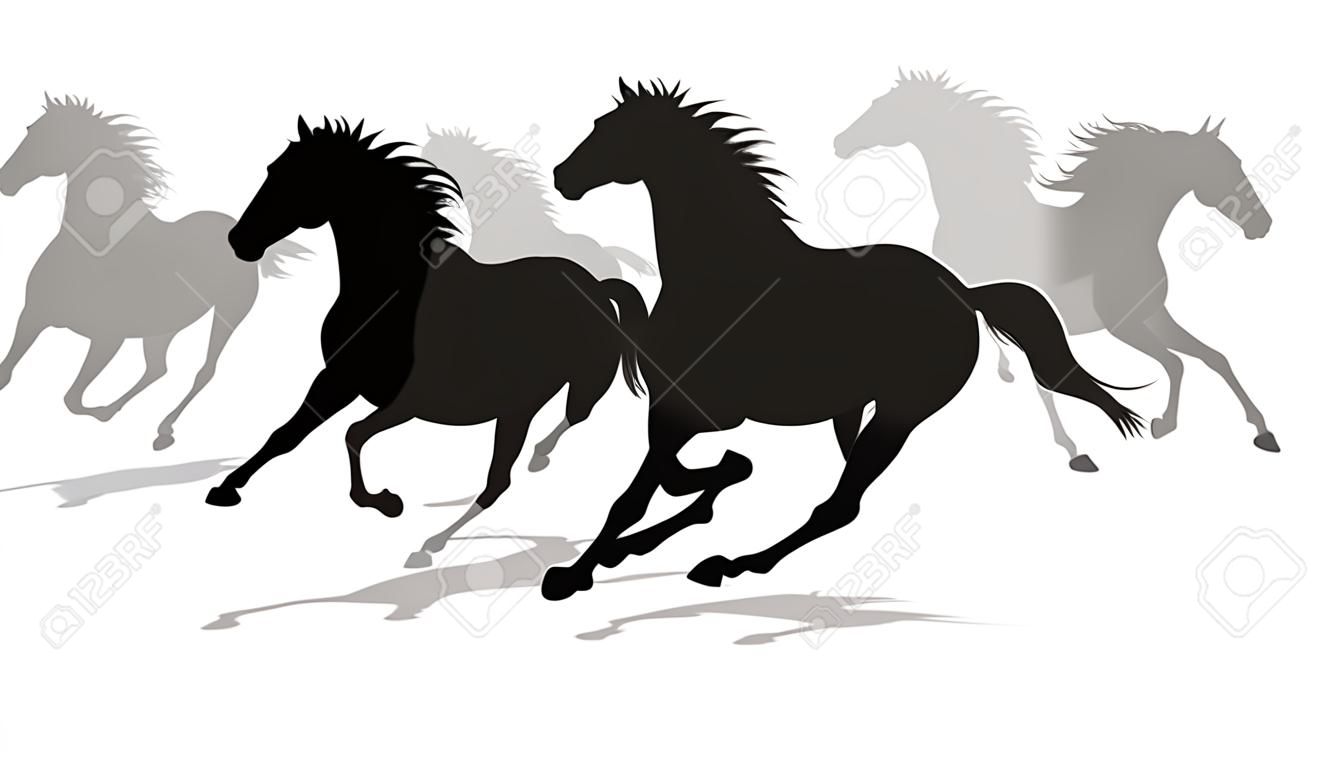Laufende Pferde Silhouette