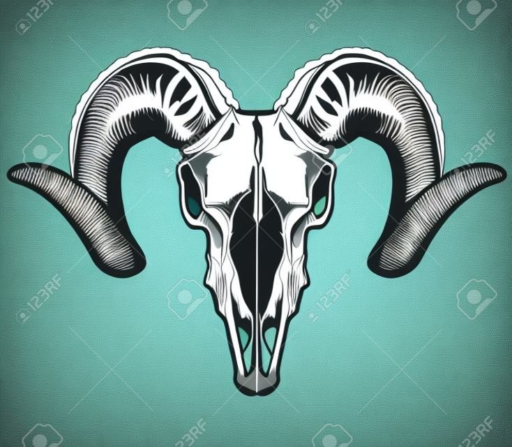 Goat Skull Vector
