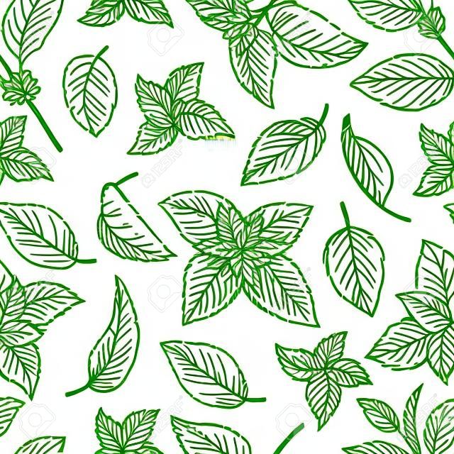 ミント手スケッチ ベクトル図シームレスなテクスチャ。ペパーミントは、メントールの葉が白い背景で隔離の描画の刻まれました。葉ハーブ スペアミント植物