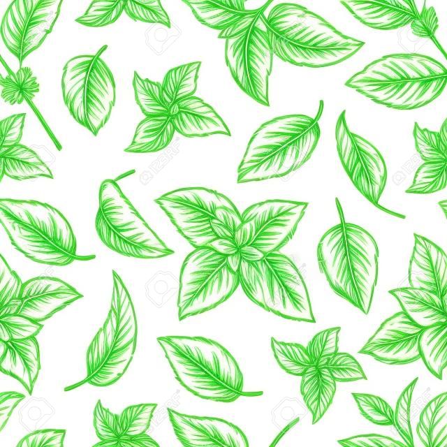 ミント手スケッチ ベクトル図シームレスなテクスチャ。ペパーミントは、メントールの葉が白い背景で隔離の描画の刻まれました。葉ハーブ スペアミント植物