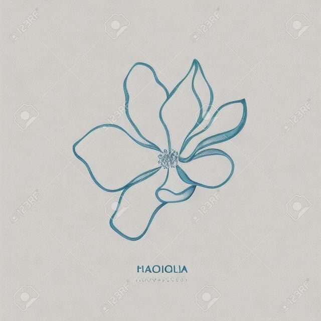 Flor de magnolia dibujada a mano. Elemento de diseño botánico y logotipo.