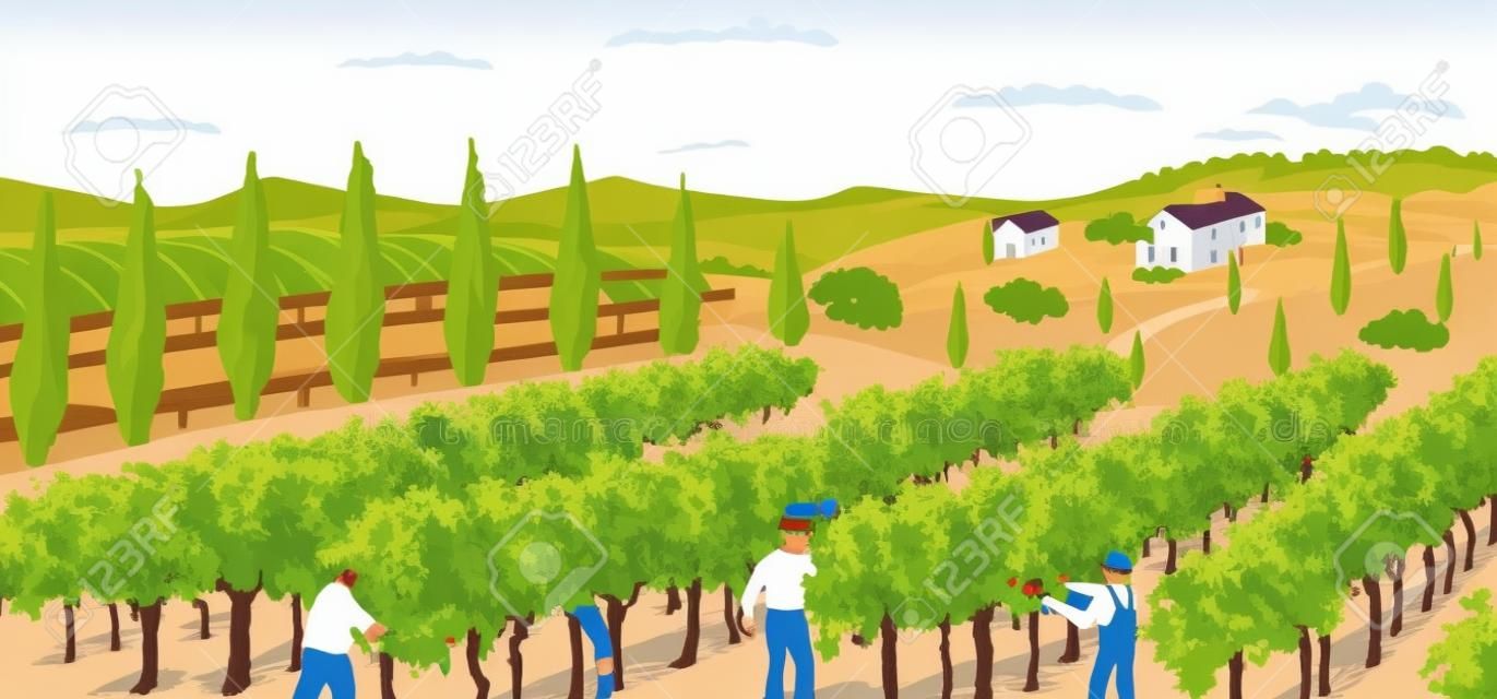 Krajobraz winnic z polem winogron i willą winiarską na tle. ręcznie rysować plakat ilustracji wektorowych. zbioru winogron. ludzie pracują na polu winiarskim