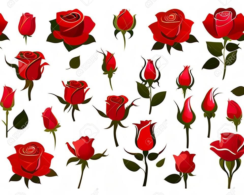 Set of beautiful red roses isolated on white background.Colorful vector roses for invitations, greeting cards, posters etc.