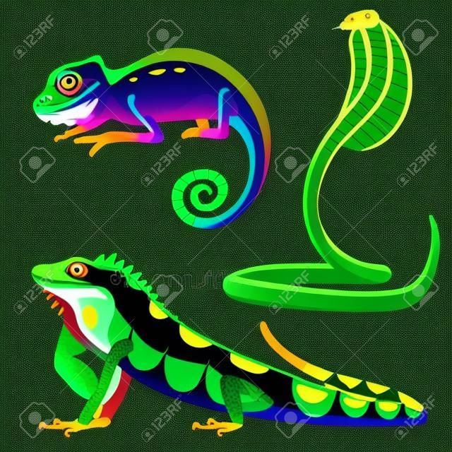 Reptil y anfibio colorida fauna vector ilustración reptiloid depredadores reptiles animales.