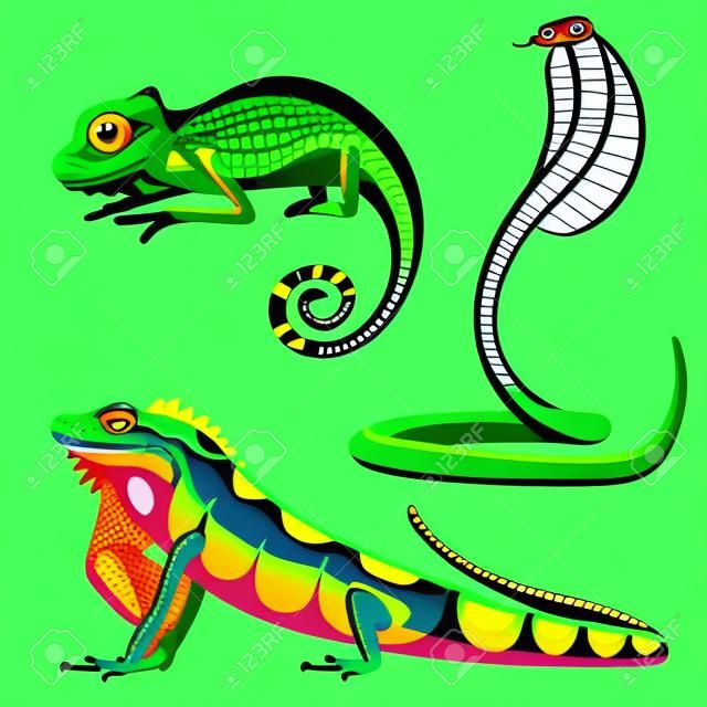 爬虫類と両生類のカラフルな動物はベクトル図 reptiloid プレデター爬虫類動物です。