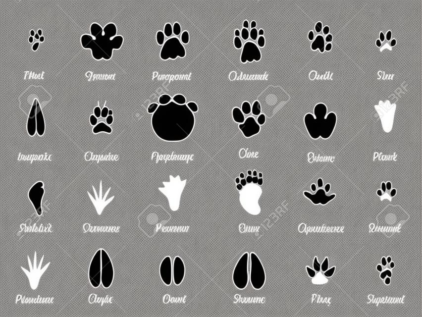 Wildlife animals black footprints set on white background with signs. Vector icons set