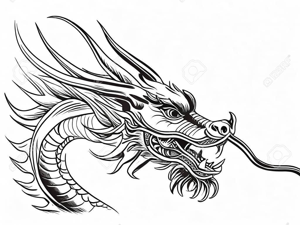 Ручной обращается Chineese дракона на белом фоне. Векторная иллюстрация