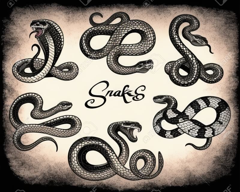 Vetor de tatuagem de cobra. Tatuagens de cobras coloridas em branco, viper vintage e cobra mal ilustração vetorial de serpente