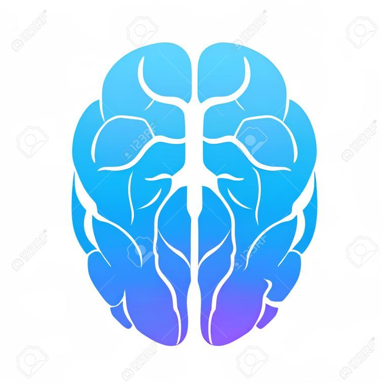 Menschliches Gehirn medizinisch. inneres Organ. neurales Netzwerk. Brainstorming, Idee.