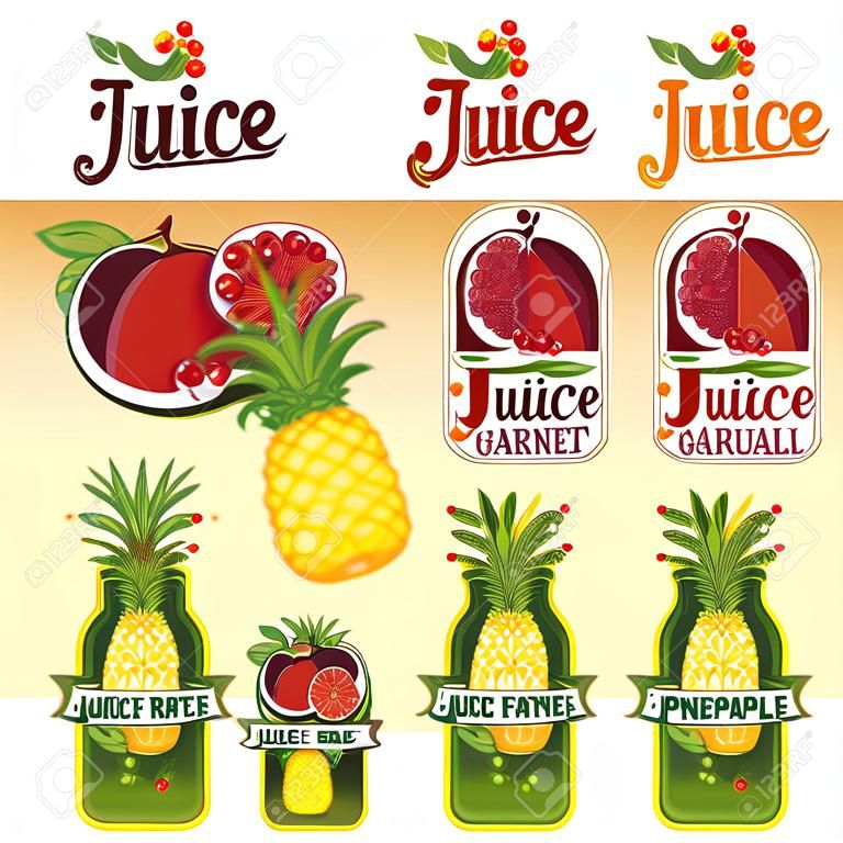set of templates for labels of juice from the fruit of red garnet and pineapple