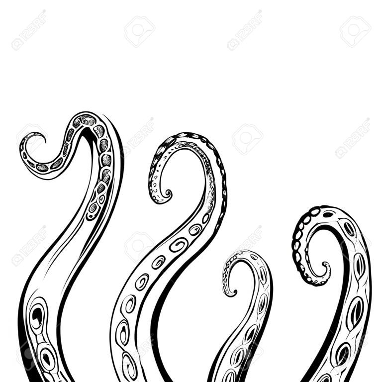 Conjunto de tentáculos de pulpo de bocetos en blanco y negro. Extremidades espeluznantes de habitantes marinos. Objeto vectorial para logotipos, tatuajes, tarjetas y su diseño.