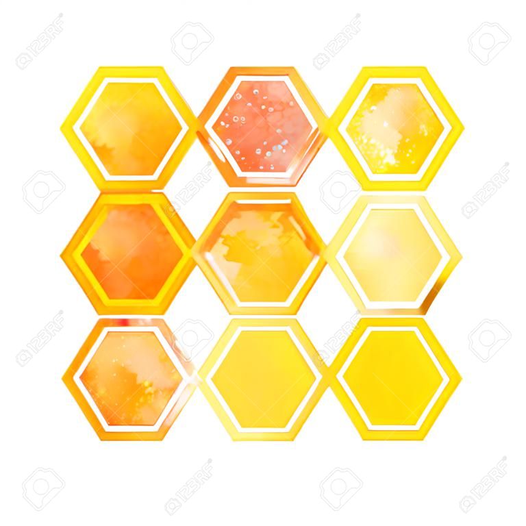 Yellow watercolor honeycomb with splashes on a white background. Beehive and wax. Golden warm honey.