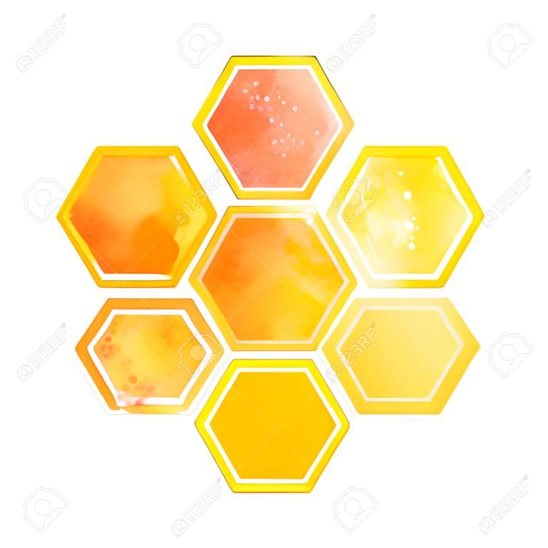 Nid d'abeille aquarelle jaune avec des touches sur fond blanc. Ruche et cire. Miel chaud doré.