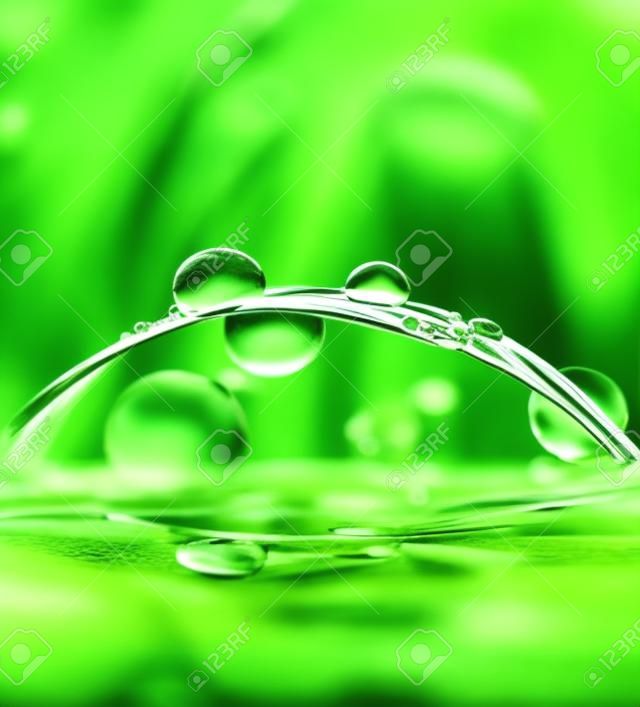 Fresh green grass with water drops closeup. Nature Background