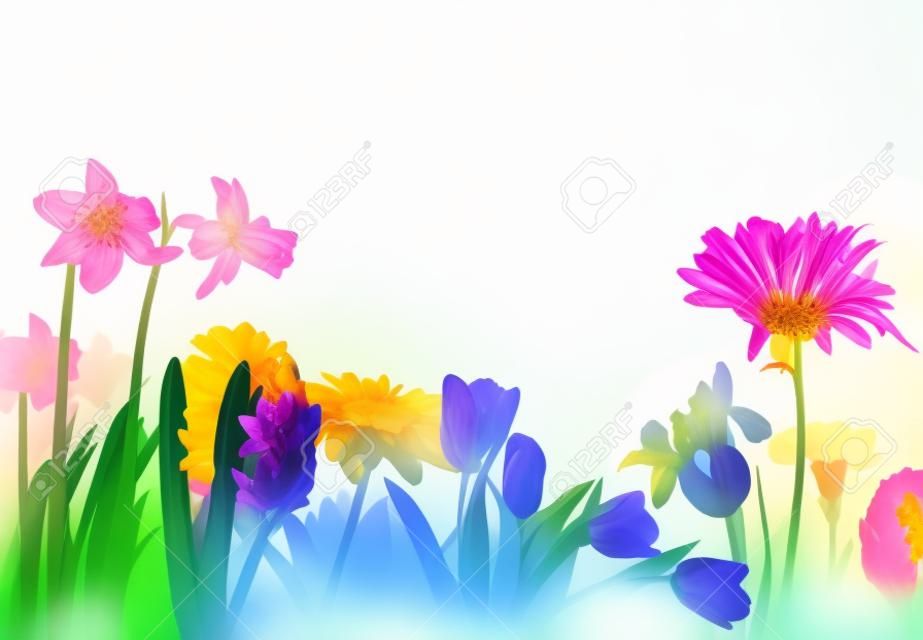 カラフルな春の花は、白い背景で隔離。