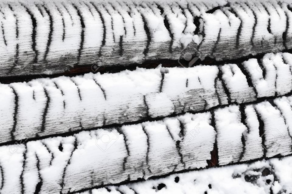 texture of charred wood in the winter in the snow