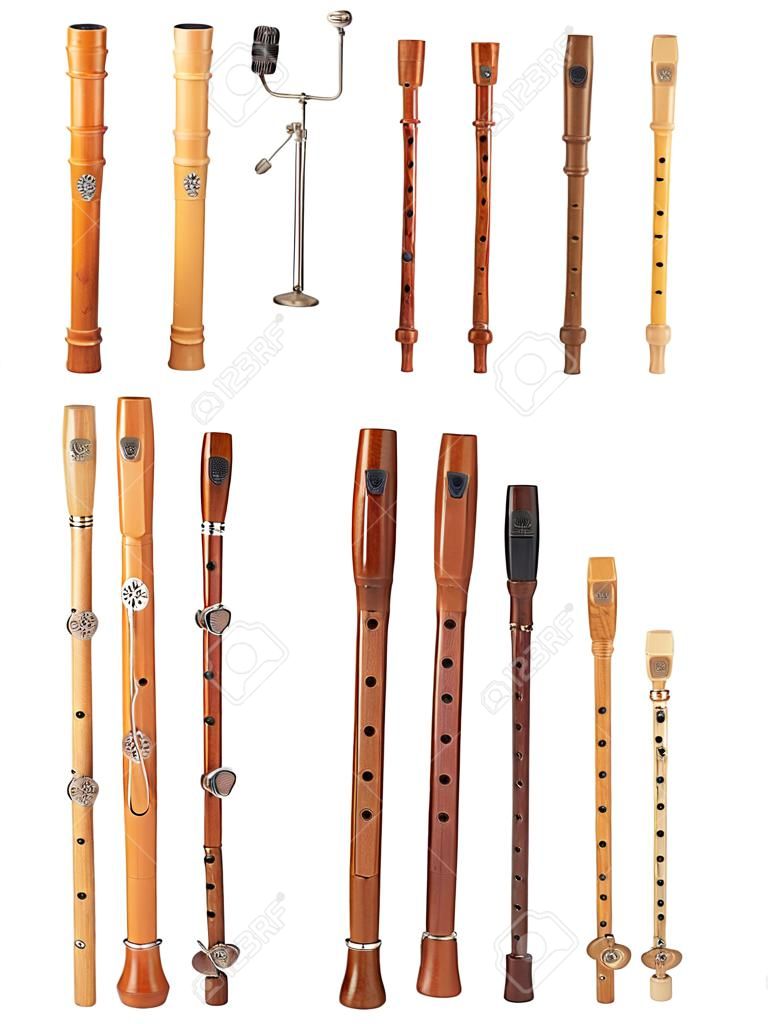 Many kinds of recorder for your choice