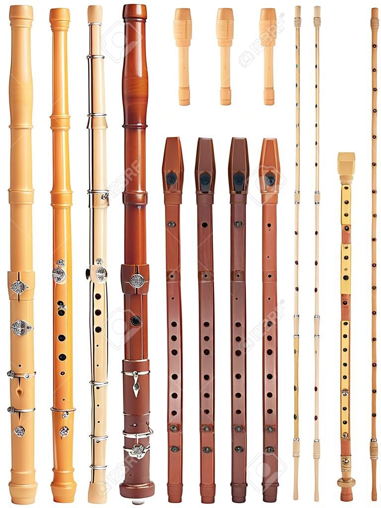 Many kinds of recorder for your choice