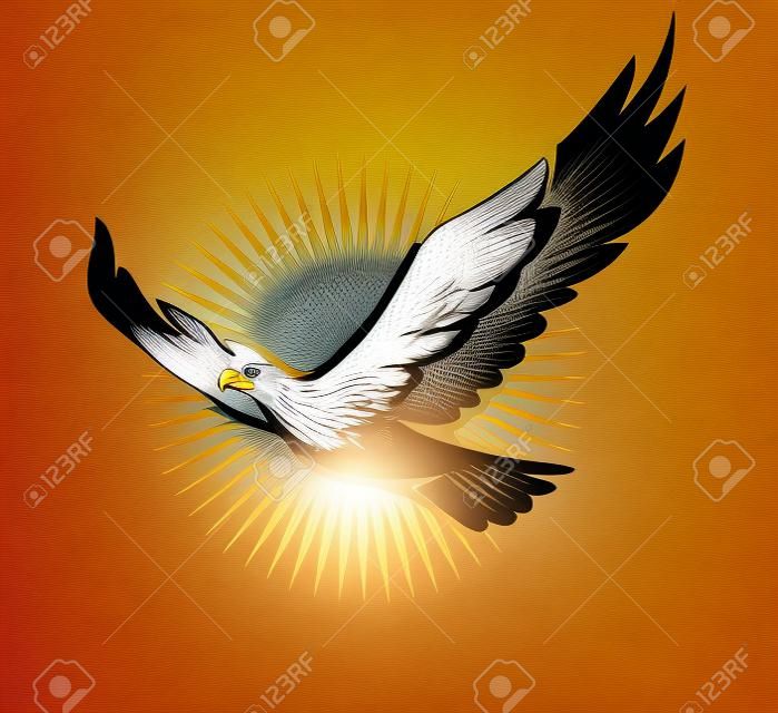 태양에서 독수리의 그림