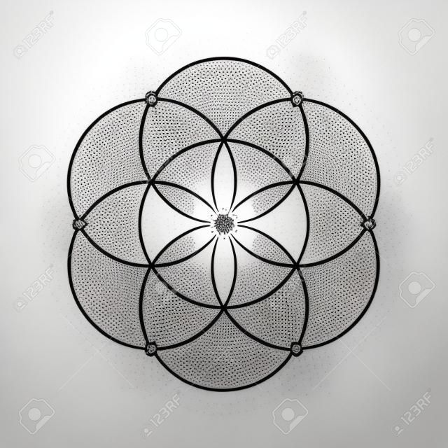 Flower of life sacred geometry minimal tattoo sketch on white background
