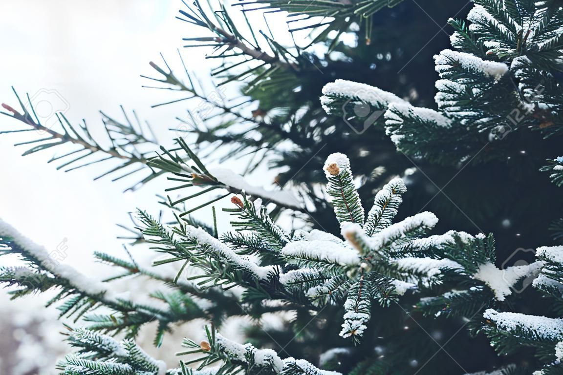Primer plano del árbol de Navidad con luz, copos de nieve. Fondo de vacaciones de Navidad y año nuevo. tono de color de la vendimia