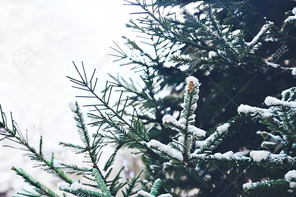 Primer plano del árbol de Navidad con luz, copos de nieve. Fondo de vacaciones de Navidad y año nuevo. tono de color de la vendimia