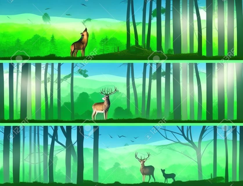 Horizontal abstract banners of wild animals (deer, wolf) in hills of forest with trunks of trees in green tone.