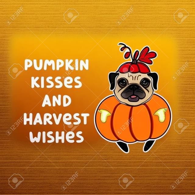 Das lustige Zitat: Kürbisküsse und Erntewünsche, mit süßem Hund der Mopsrasse im Kürbiskostüm. Es kann für Aufkleber, Aufnäher, Handyhüllen, Poster, T-Shirts, Tassen und andere Designs verwendet werden.