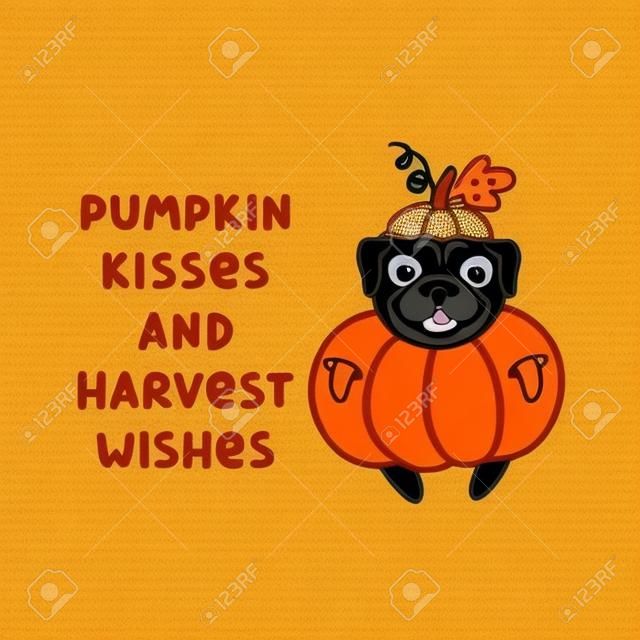 The funny quote: Pumpkin kisses and Harvest wishes, with cute dog of pug breed in a pumpkin costume. It can be used for sticker, patch, phone case, poster, t-shirt, mug and other design.