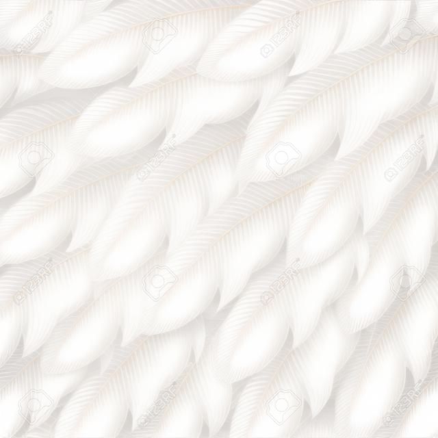 Sfondo trasparente di piume bianche, close up. Illustrazione vettoriale.