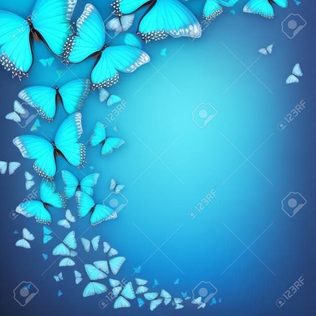 farfalla blu su uno sfondo chiaro