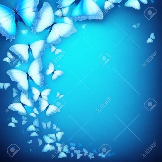 farfalla blu su uno sfondo chiaro