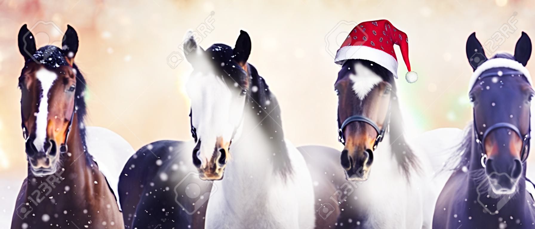 Kar bokeh arka plan üzerinde Noel şapkalı Noel atları