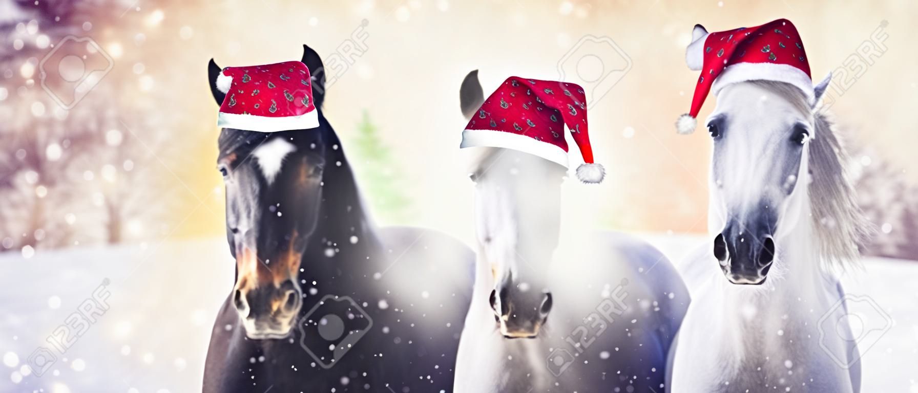 Kar bokeh arka plan üzerinde Noel şapkalı Noel atları