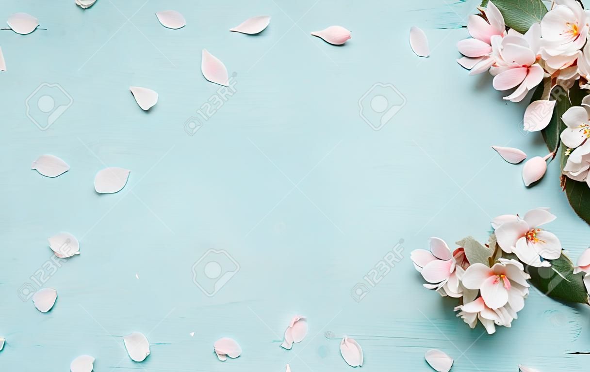 Spring nature background with lovely blossom in blue  pastel color, top view, banner. Springtime concept