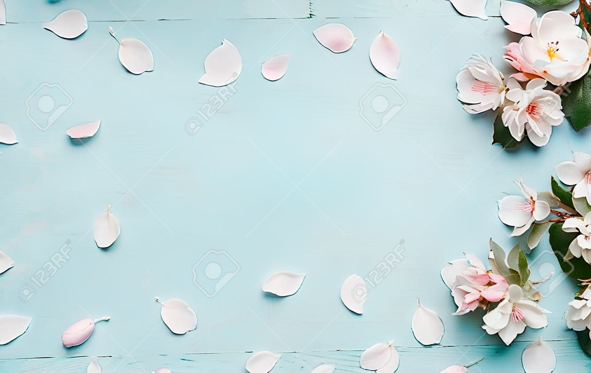 sfondo di natura primavera con bel fiore in colore blu pastello, vista dall'alto, banner. concetto di primavera