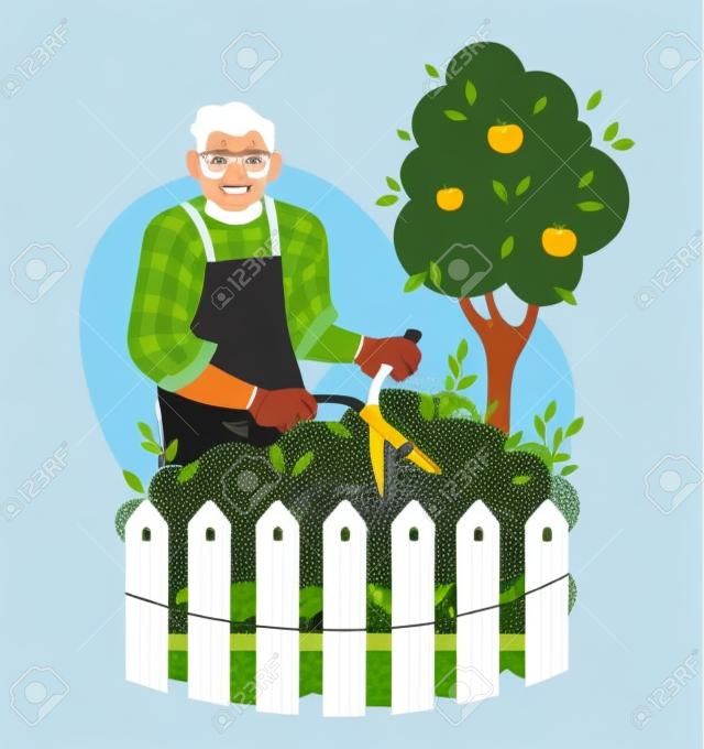 Starszy mężczyzna ścina krzak w ogrodzie. ogrodnik lub rolnik. ilustracja wektorowa płaska.