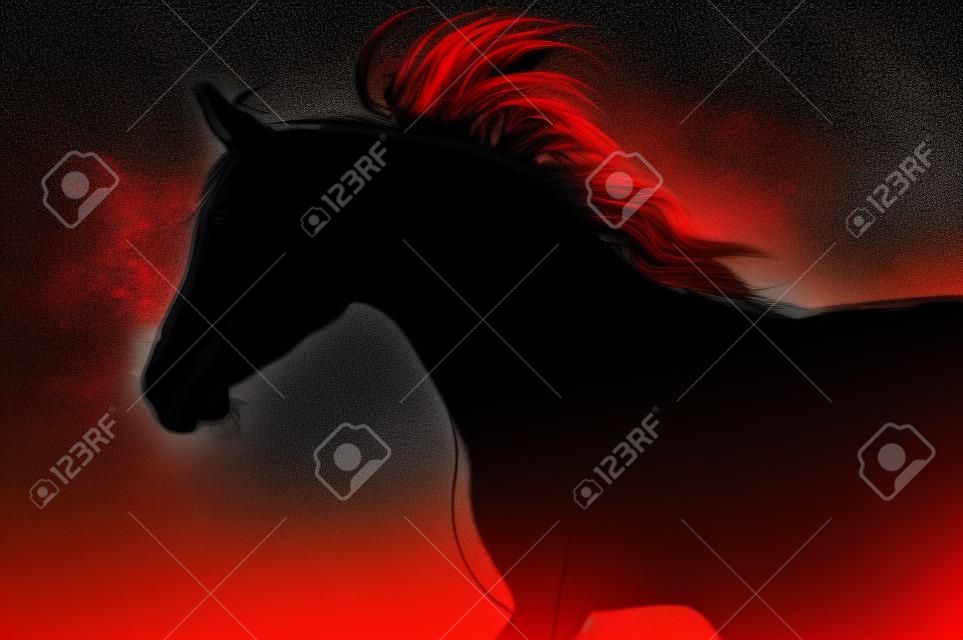 árabe silueta a caballo en el fondo oscuro