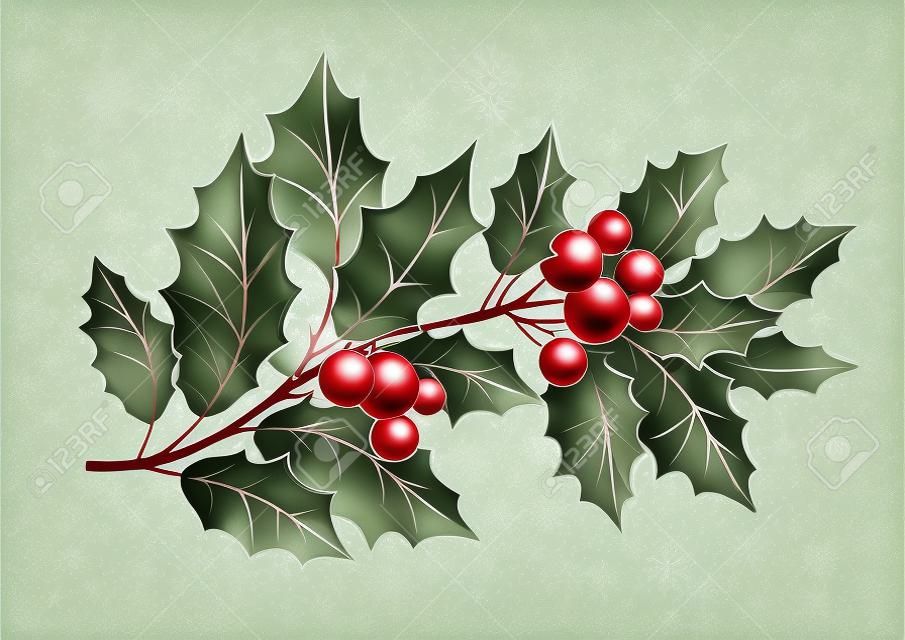 Ilustración realista de rama de árbol de acebo de Navidad