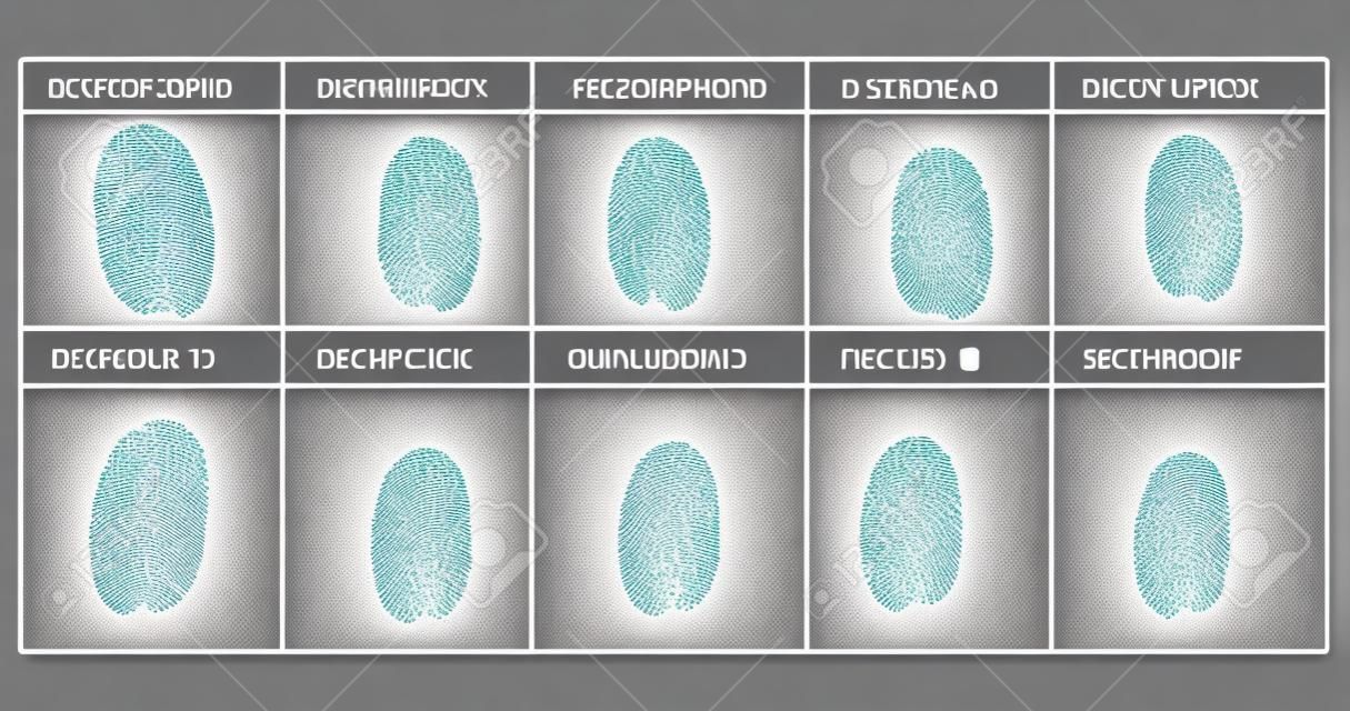 Vector illustration fingerprint card sample. Identification. Set of finger prints