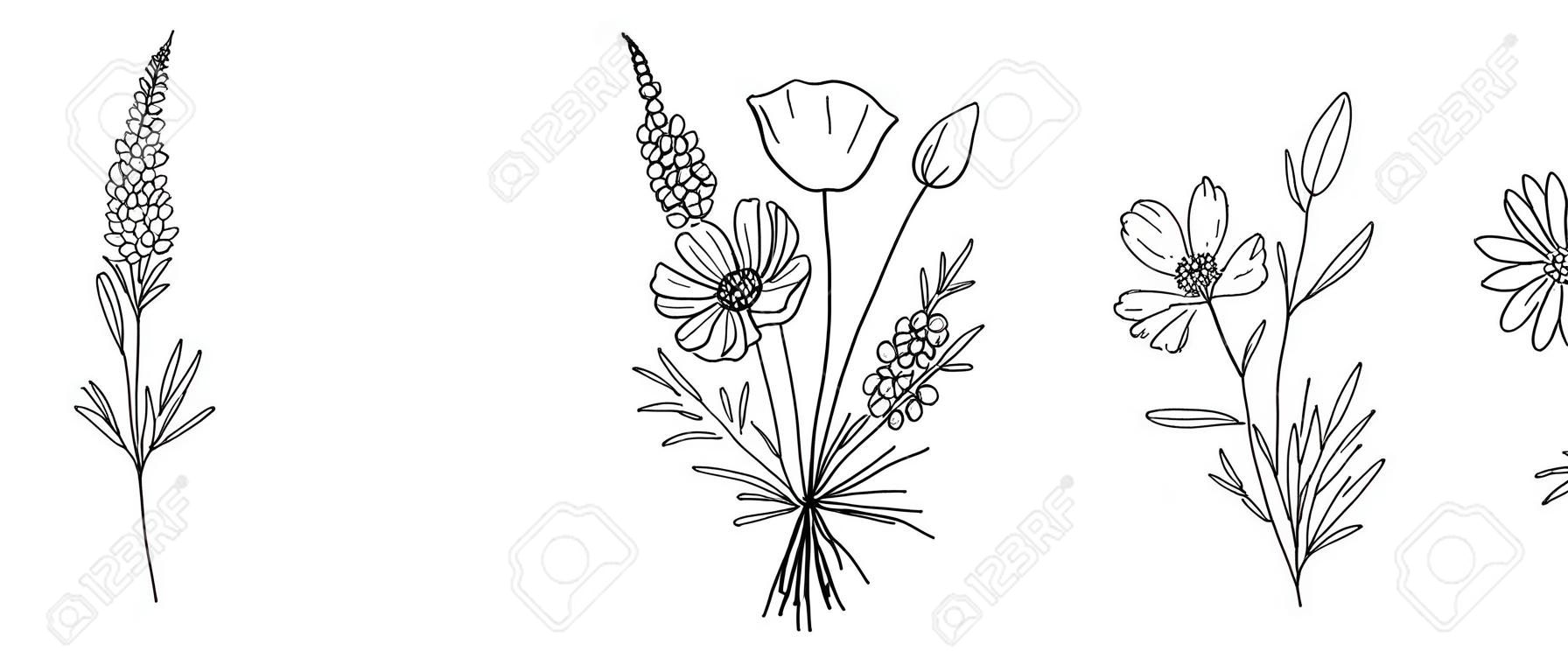 Ensemble de bouquets d'art en ligne de fleurs sauvages. Fleurs de prairie, herbes, plantes sauvages, éléments botaniques dessinés à la main pour des projets de conception. Illustration vectorielle.