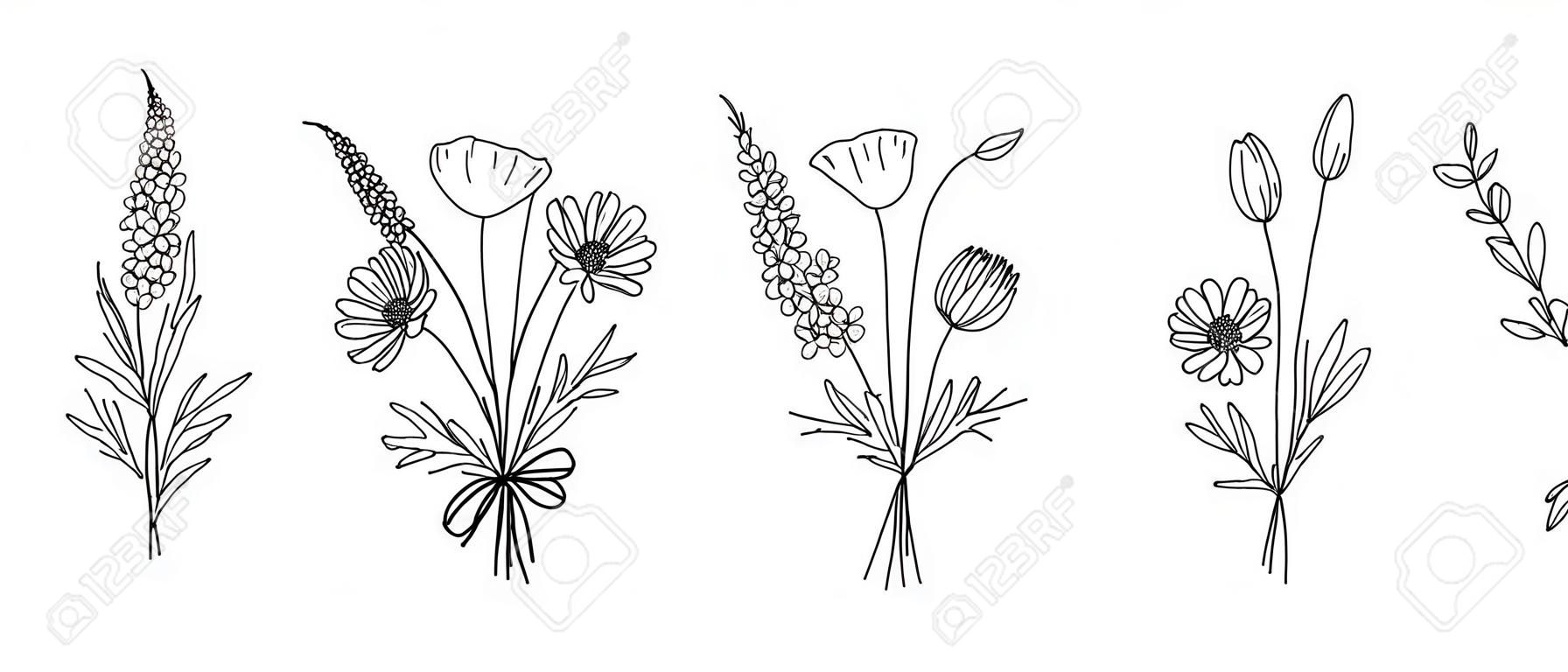 Wildflower-Strichzeichnungssträuße gesetzt. Wiesenblumen, Kräuter, Wildpflanzen, botanische handgezeichnete Elemente für Designprojekte. Vektor-Illustration.