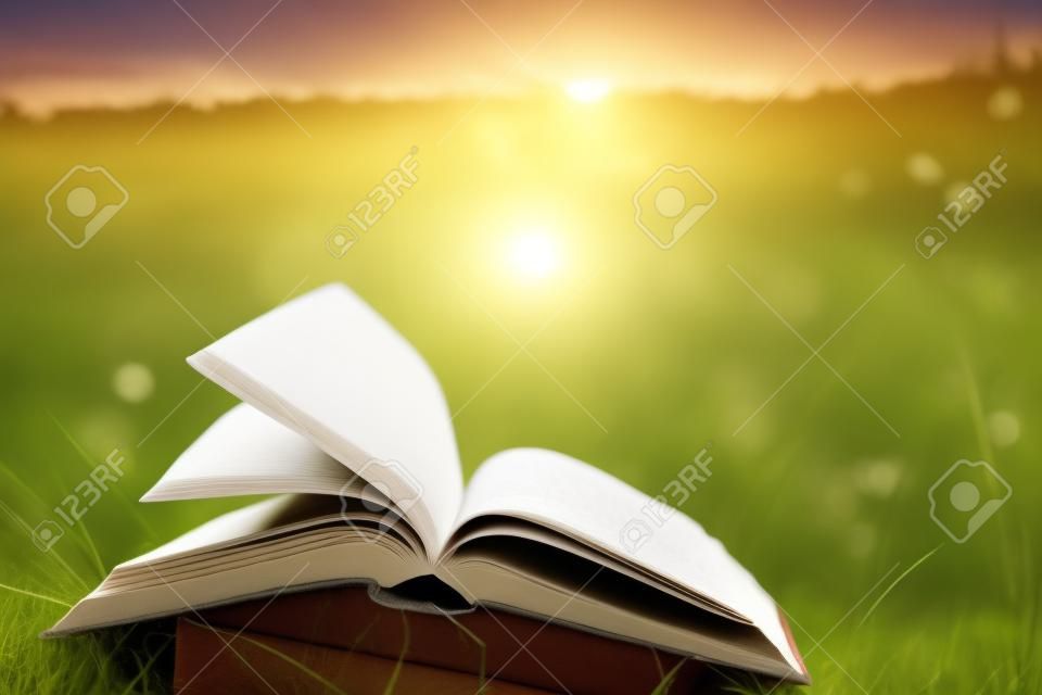 Otwarty w twardej oprawie książka pamiętnik, podsycana stron na niewyraźne tło charakteru krajobrazu, leżącego w polu latem na zielonej trawie na tle nieba słońca z tylnym światłem. Kopia przestrzeń, z powrotem do edukacji szkolnej tle.