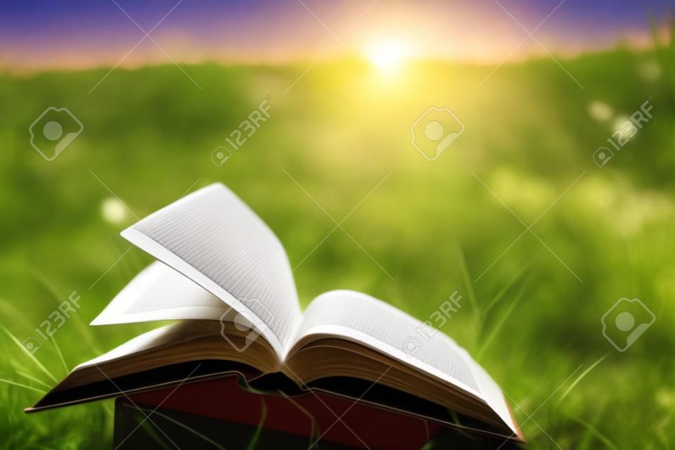 Opened hardback book diary, fanned pages on blurred nature landscape backdrop, lying in summer field on green grass against sunset sky with back light. Copy space, back to school education background.