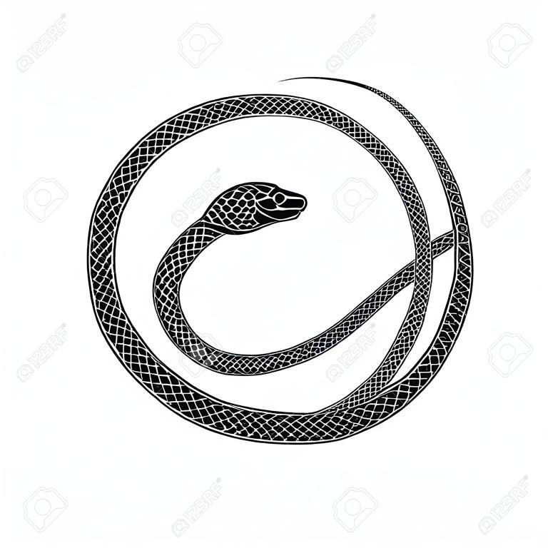Diseño de tatuaje de símbolo de Ouroboros. La serpiente muerde su cola. Vector antiguo signo aislado sobre un fondo blanco.