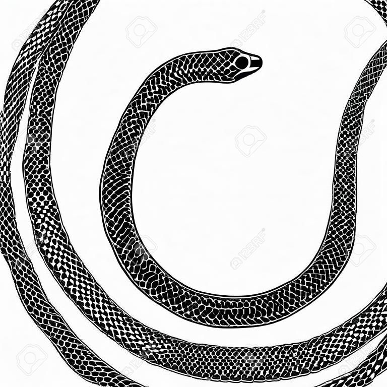 Diseño de tatuaje de símbolo de Ouroboros. La serpiente muerde su cola. Vector antiguo signo aislado sobre un fondo blanco.