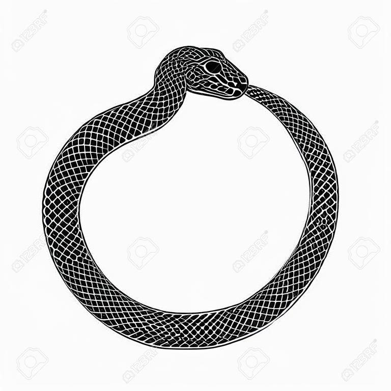 Ouroboros symbol tattoo design. Snake bites it's tail. Vector ancient sign isolated on a white background.