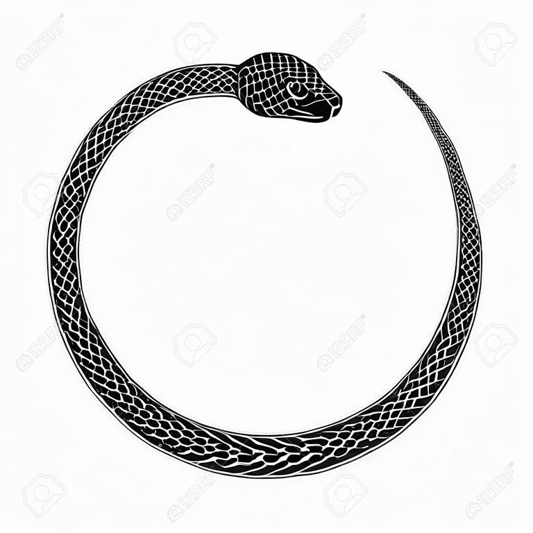 Ouroboros symbol tattoo design. Snake bites it's tail. Vector ancient sign isolated on a white background.